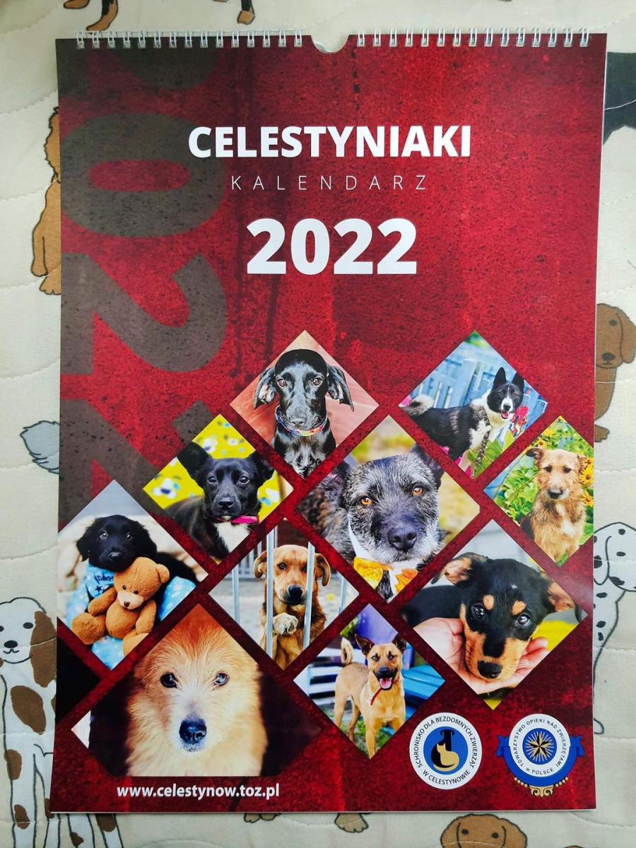 Kalendarz na 2022 z CELESTYNIAKAMI